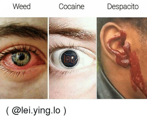 weed-cocaine-despacito-lei-ying-lo-26814267 weed cocaine despacito lei ying lo 26814267