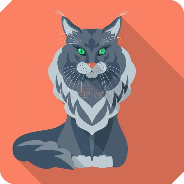 vector-cat-maine-coon-icon-flat-design-american-longhair-45791832 vector cat maine coon icon flat design american longhair 45791832