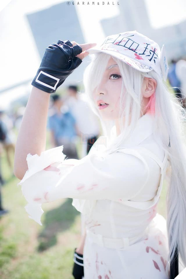 Rung rẩy trước vẻ đẹp chết người của nữ cosplayer Bạch Cầu trong bộ anime Hataraku Saibou  14