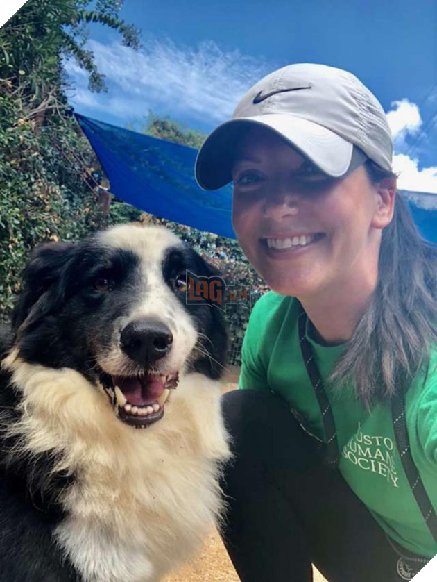 Xót xa thay hình ảnh chú chó bị gia đình bỏ rơi lập tức vỡ òa trước sự an ủi của người lạ 3