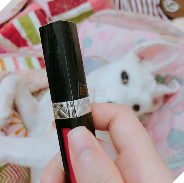 Gặm hư thỏi son bạc triệu của sen nhưng boss vẫn cãi nhem nhẻm như chém chả  5