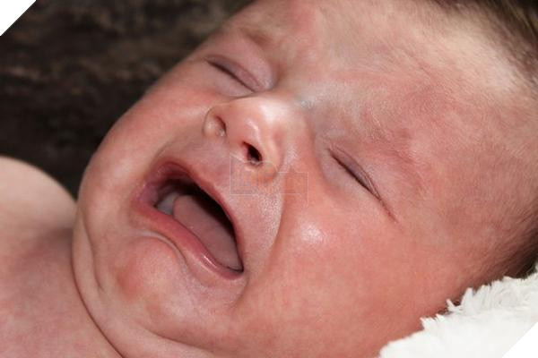 crying-610x407 crying 610x407