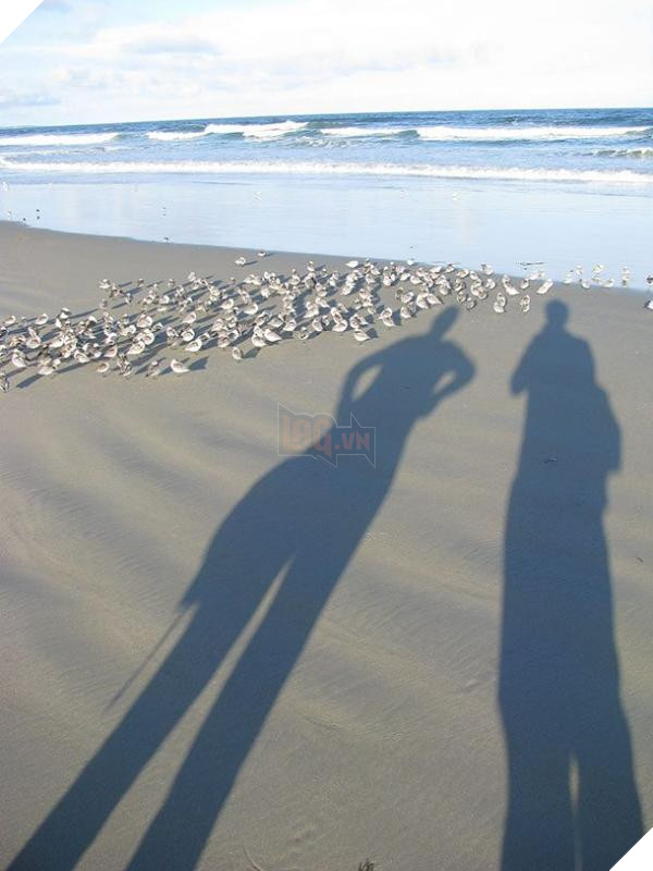 two-shadows-610x813 two shadows 610x813