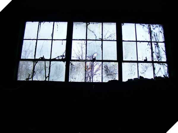 window-1-610x458 window 1 610x458
