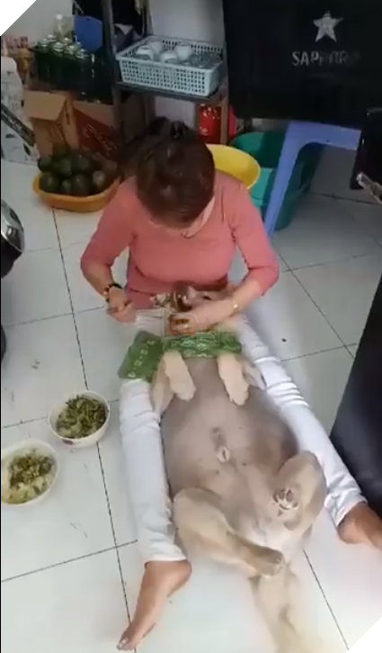  Chết cười với hình ảnh boss lười chảy thây , thà nhịn đói còn hơn ăn cơm mà không có người đút 3