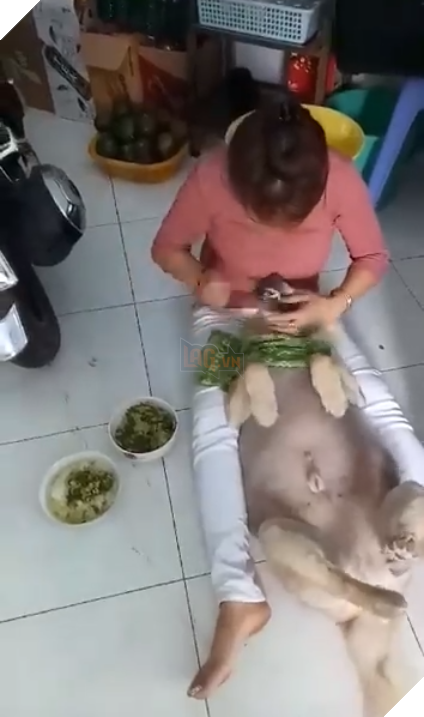  Chết cười với hình ảnh boss lười chảy thây , thà nhịn đói còn hơn ăn cơm mà không có người đút 4