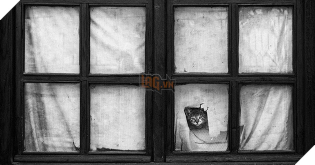 Loạt ảnh quàng thượng bên ô cửa sổ khiến không ít con sen phải trụy tim vì quá deep 