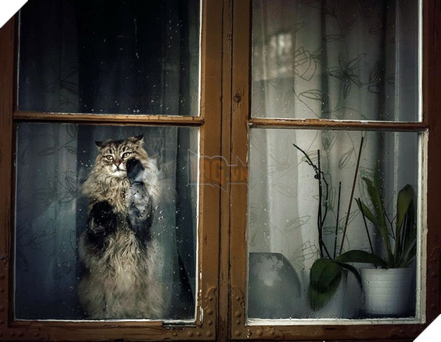 Loạt ảnh quàng thượng bên ô cửa sổ khiến không ít con sen phải trụy tim vì quá deep  2