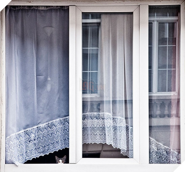 Loạt ảnh quàng thượng bên ô cửa sổ khiến không ít con sen phải trụy tim vì quá deep  4