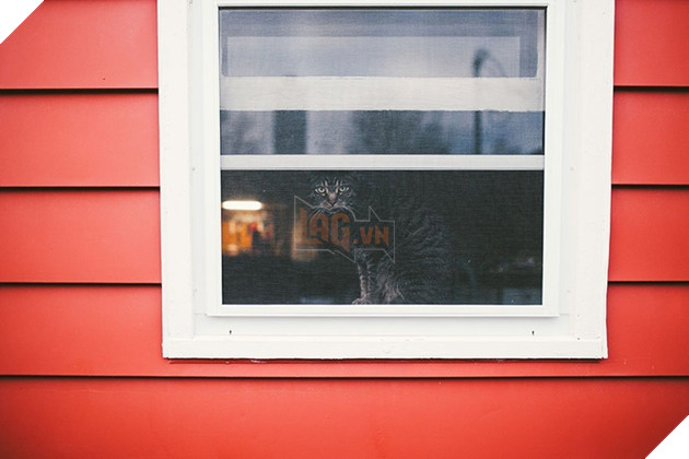 Loạt ảnh quàng thượng bên ô cửa sổ khiến không ít con sen phải trụy tim vì quá deep  8