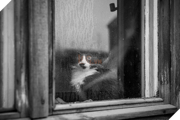 Loạt ảnh quàng thượng bên ô cửa sổ khiến không ít con sen phải trụy tim vì quá deep  10