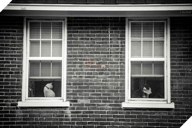 Loạt ảnh quàng thượng bên ô cửa sổ khiến không ít con sen phải trụy tim vì quá deep  13