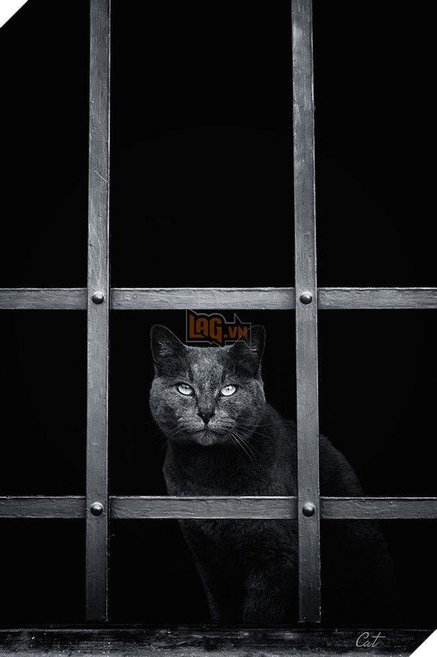 Loạt ảnh quàng thượng bên ô cửa sổ khiến không ít con sen phải trụy tim vì quá deep  17