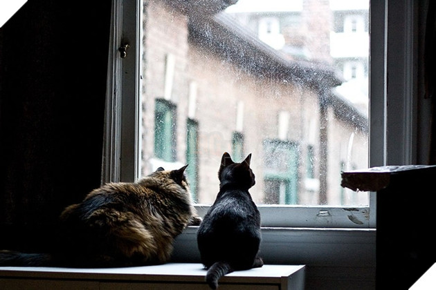 Loạt ảnh quàng thượng bên ô cửa sổ khiến không ít con sen phải trụy tim vì quá deep  21