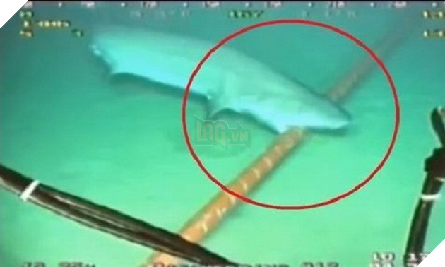 Bún cáp biển AAG tiếp tục căng thòng, game thủ tuyến quốc tế tiếp tục nghỉ xả hơi ngắn hạn 3