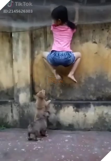 CĐM cười sảng vì màn đấu khẩu độc thoại của boss dọa cho sen sợ chết khiếp 2