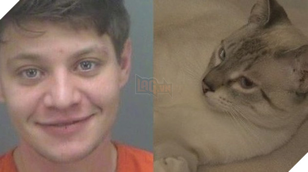 Khi đại boss quá hấp dẫn , trộm đột nhập vào nhà nhưng không thèm màng đến chính sự ? 4