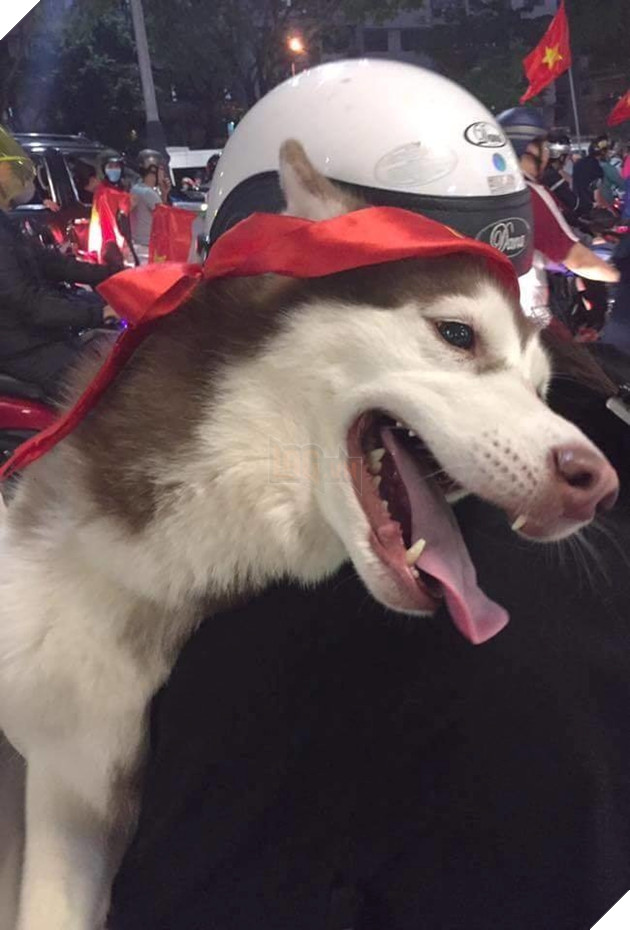 Hậu Tứ kết ASIAD 2018: Các đại boss kéo quân ra đường đi bão ăn mừng Olympic Việt Nam