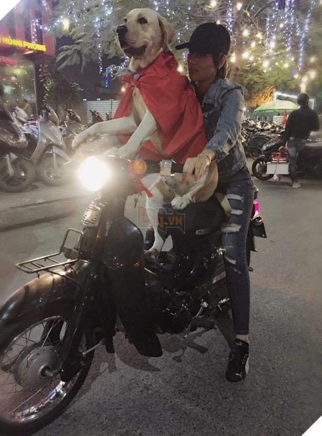 Hậu Tứ kết ASIAD 2018: Các đại boss kéo quân ra đường đi bão ăn mừng Olympic Việt Nam 6