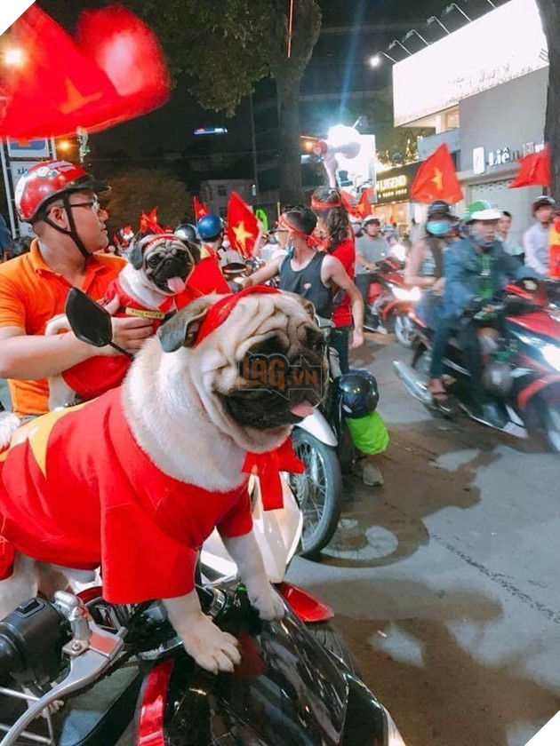 Hậu Tứ kết ASIAD 2018: Các đại boss kéo quân ra đường đi bão ăn mừng Olympic Việt Nam 8