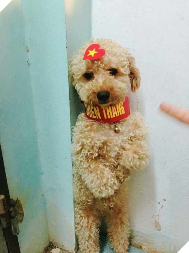 Hậu Tứ kết ASIAD 2018: Các đại boss kéo quân ra đường đi bão ăn mừng Olympic Việt Nam 12