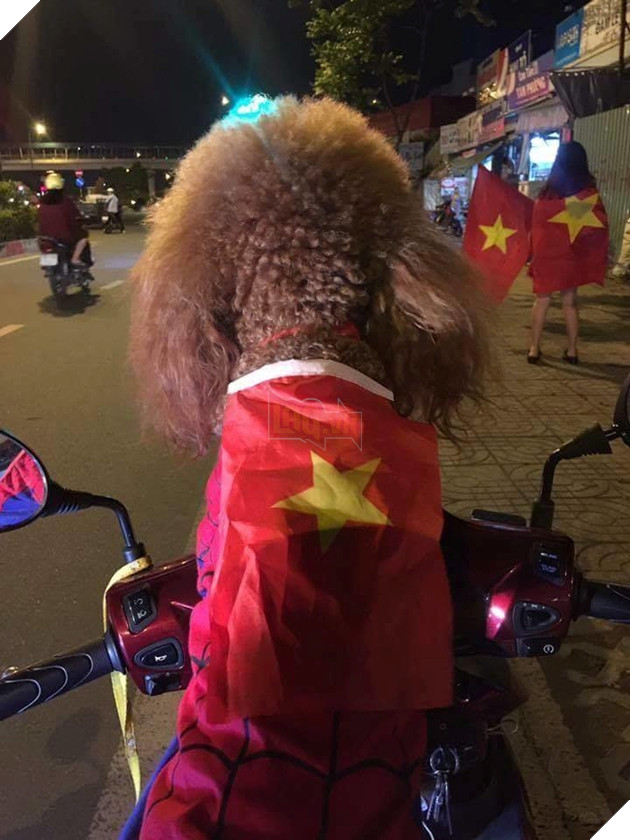 Hậu Tứ kết ASIAD 2018: Các đại boss kéo quân ra đường đi bão ăn mừng Olympic Việt Nam 15