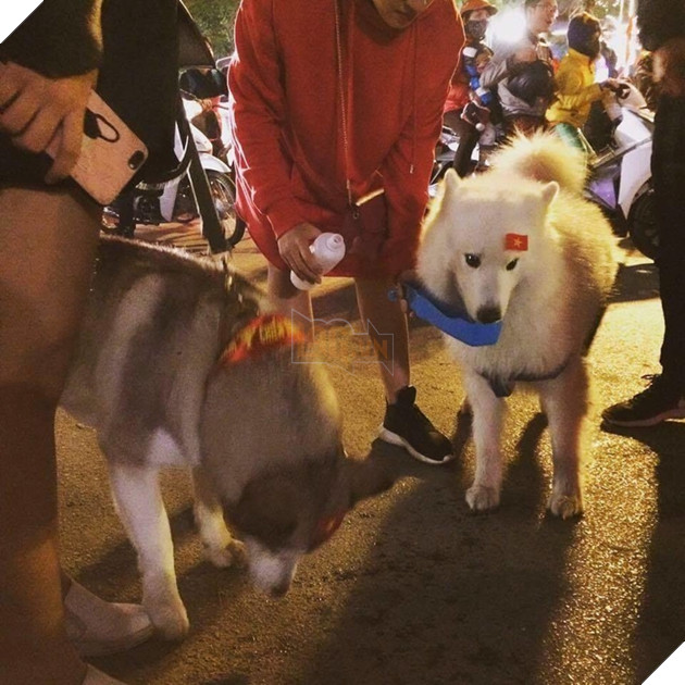 Hậu Tứ kết ASIAD 2018: Các đại boss kéo quân ra đường đi bão ăn mừng Olympic Việt Nam 16