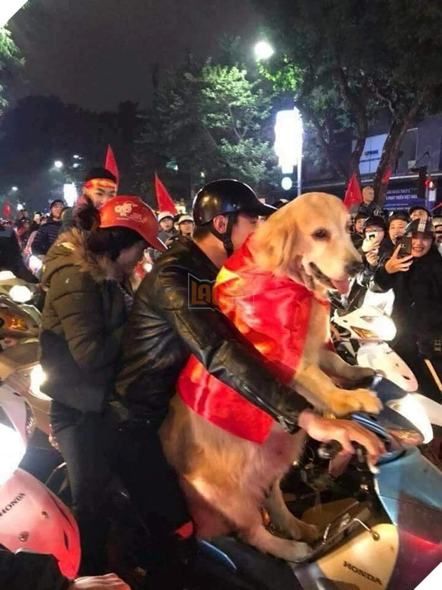 Hậu Tứ kết ASIAD 2018: Các đại boss kéo quân ra đường đi bão ăn mừng Olympic Việt Nam 18