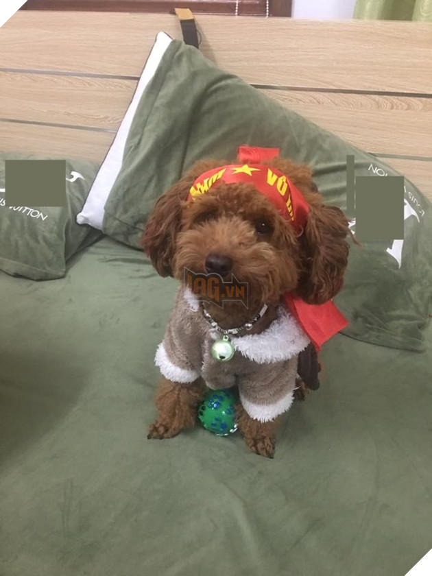 Hậu Tứ kết ASIAD 2018: Các đại boss kéo quân ra đường đi bão ăn mừng Olympic Việt Nam 19