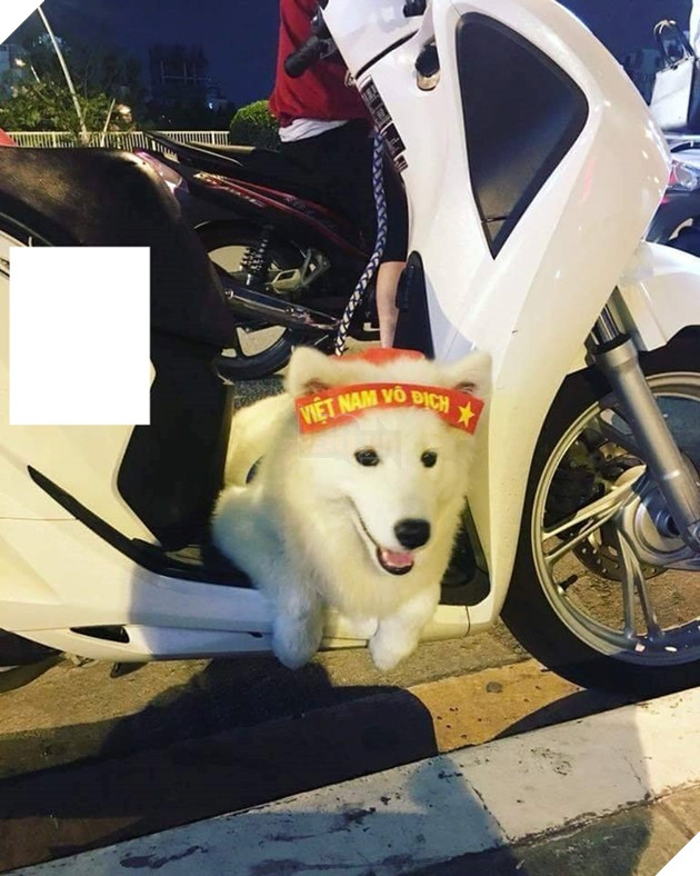 Hậu Tứ kết ASIAD 2018: Các đại boss kéo quân ra đường đi bão ăn mừng Olympic Việt Nam 4