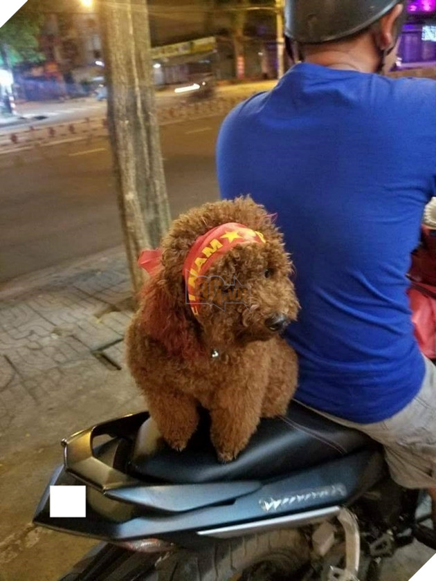 Hậu Tứ kết ASIAD 2018: Các đại boss kéo quân ra đường đi bão ăn mừng Olympic Việt Nam 7