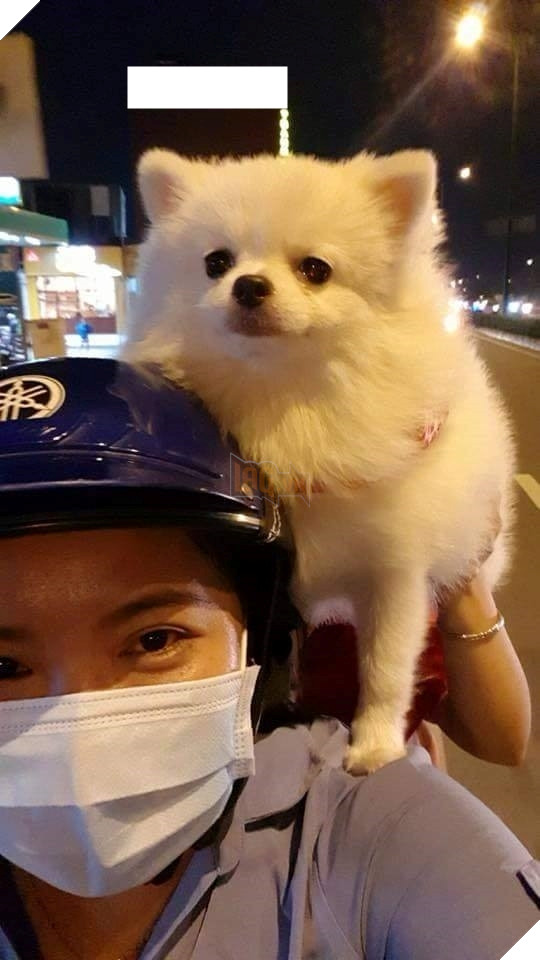 Hậu Tứ kết ASIAD 2018: Các đại boss kéo quân ra đường đi bão ăn mừng Olympic Việt Nam 11