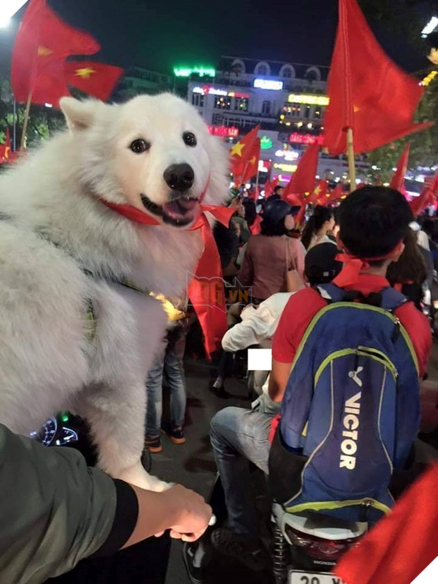 Hậu Tứ kết ASIAD 2018: Các đại boss kéo quân ra đường đi bão ăn mừng Olympic Việt Nam 3