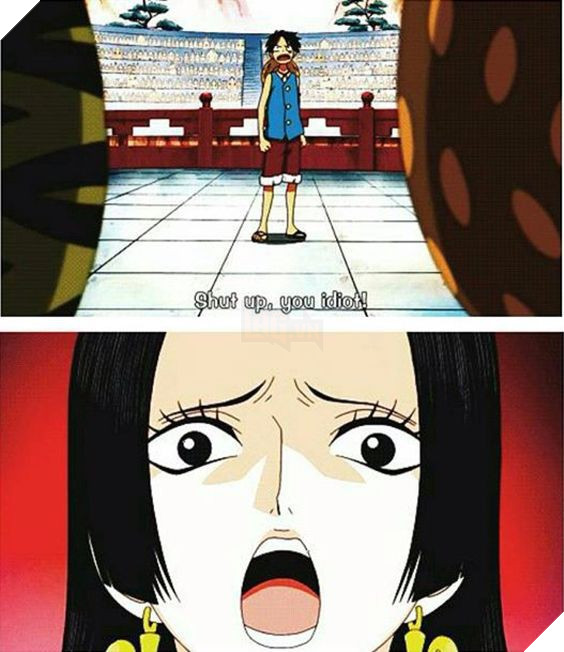 One Piece: Vẫn biết Hancock say Luffy như điếu đổ, nhưng độ cuồng tới mức nào phải xem loạt ảnh này mới rõ - Ảnh 15.