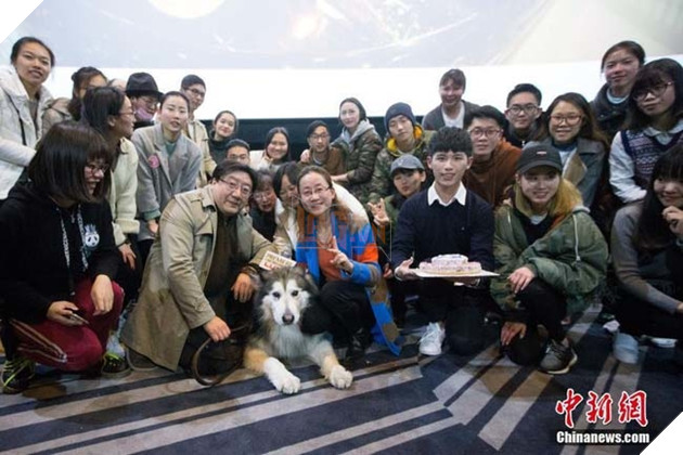 Suất chiếu phim đặc biệt dành cho chú chó Alaska và nguyên nhân khiến nhiều người xúc động 4