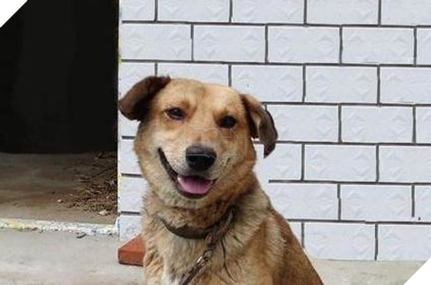 Cảm thấy không khỏe trong người, boss nay cũng đã tự đi khám bệnh! 2