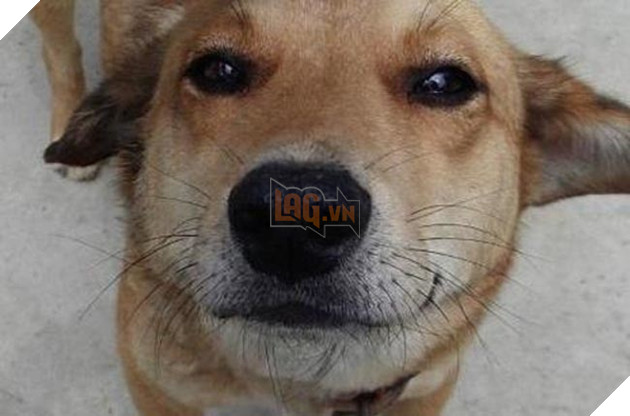 Cảm thấy không khỏe trong người, boss nay cũng đã tự đi khám bệnh! 3