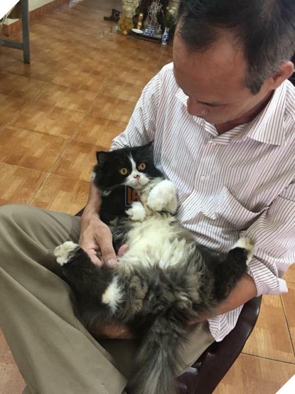 Nhà có thêm boss, ‘sen’ từ con đẻ bỗng thành… con ghẻ 2