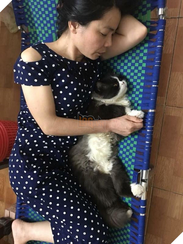 Nhà có thêm boss, ‘sen’ từ con đẻ bỗng thành… con ghẻ 7