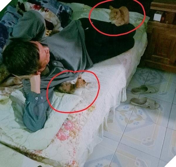 Nhà có thêm boss, ‘sen’ từ con đẻ bỗng thành… con ghẻ 13