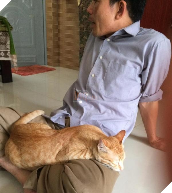 Nhà có thêm boss, ‘sen’ từ con đẻ bỗng thành… con ghẻ 16