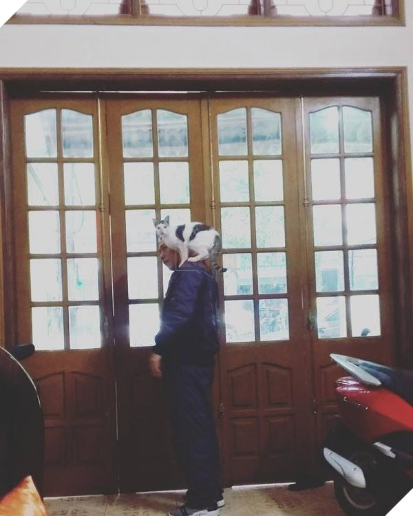 Nhà có thêm boss, ‘sen’ từ con đẻ bỗng thành… con ghẻ 18