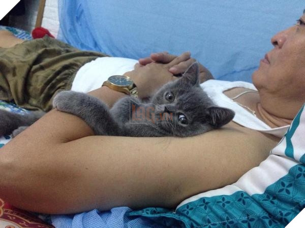 Nhà có thêm boss, ‘sen’ từ con đẻ bỗng thành… con ghẻ 22