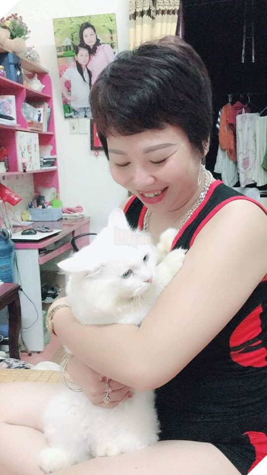 Nhà có thêm boss, ‘sen’ từ con đẻ bỗng thành… con ghẻ 25