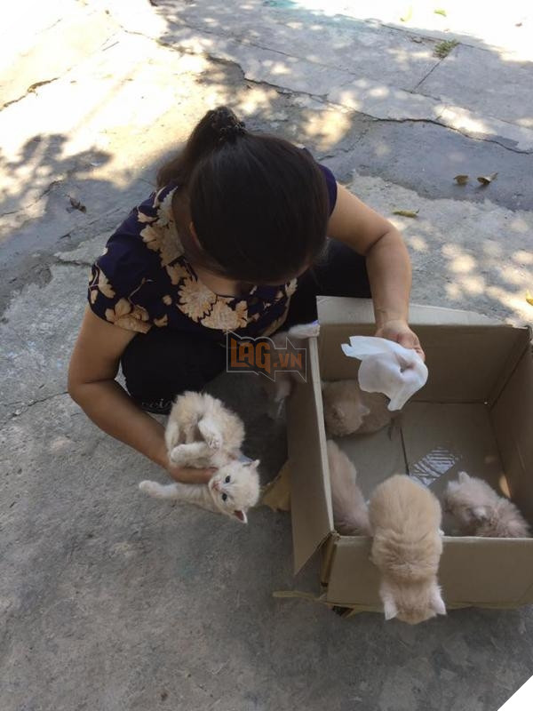 Nhà có thêm boss, ‘sen’ từ con đẻ bỗng thành… con ghẻ 29