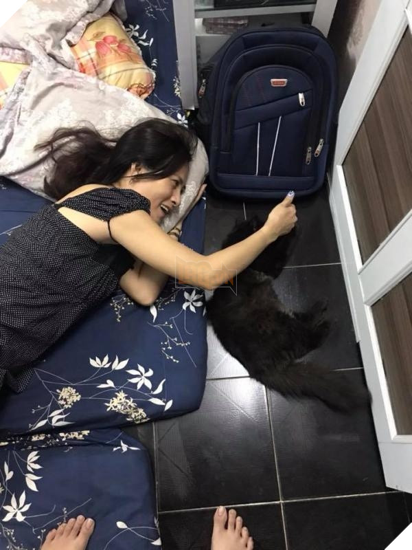 Nhà có thêm boss, ‘sen’ từ con đẻ bỗng thành… con ghẻ 34