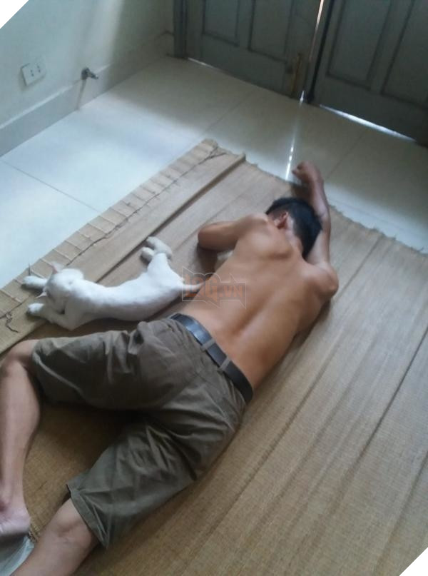 Nhà có thêm boss, ‘sen’ từ con đẻ bỗng thành… con ghẻ 36