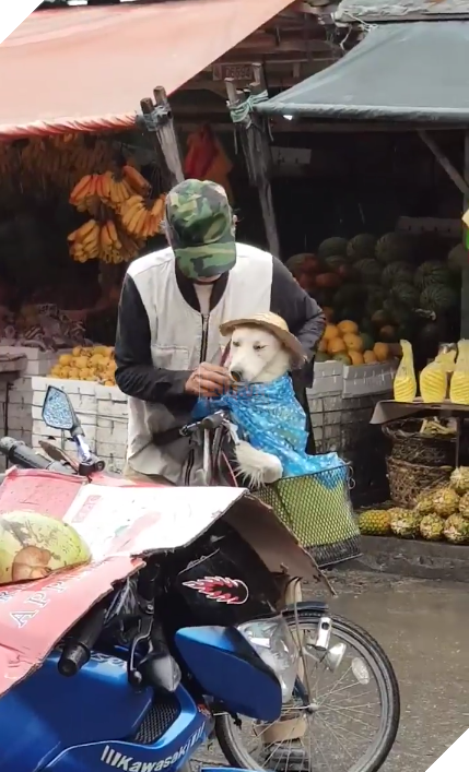 Hình ảnh người cha cẩn thận choàng áo mưa cho con trai khiến CĐM nghẹn ngào xúc động 