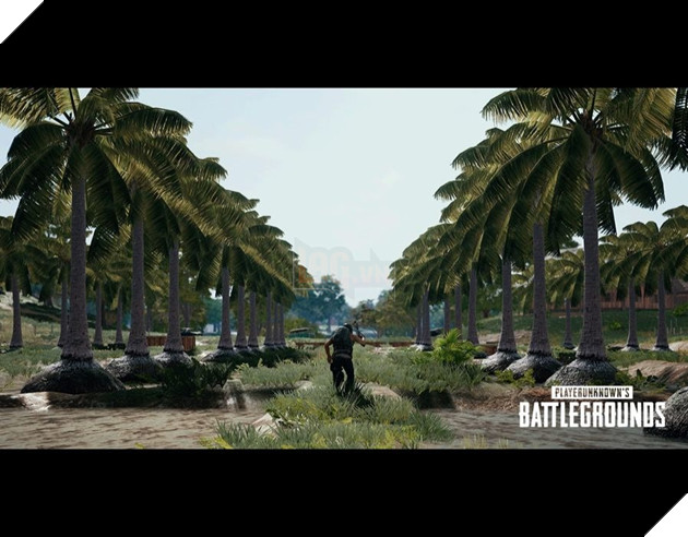 PUBG XBOX - chi tiết bản cập nhật 1.0 mà người chơi cần phải biết 2