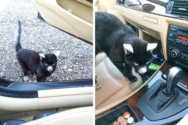 Khi tạo hóa vô tình "hết mực".